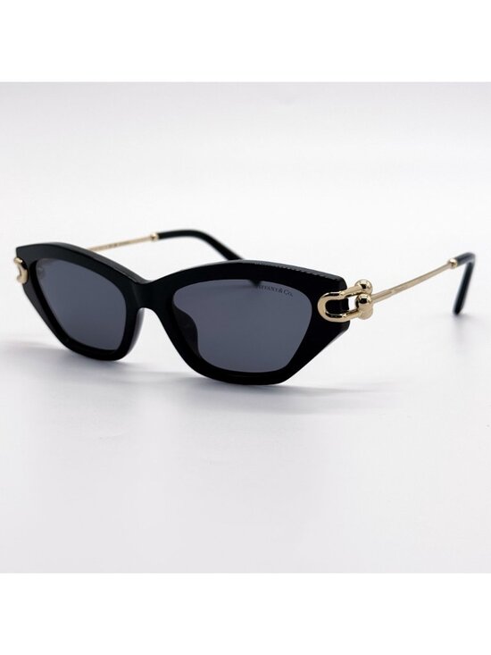 New Tiffany & Co TF4231U 8001/81 Black Polarized Cat Eye Women Sunglasses main image 7